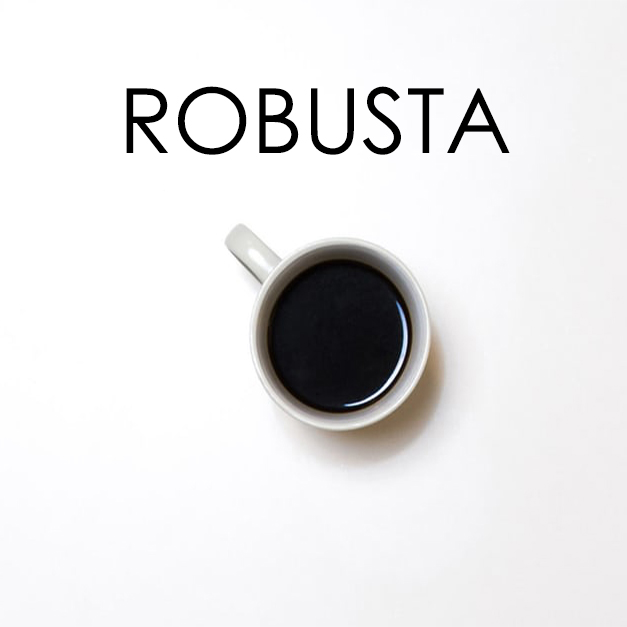 robusta